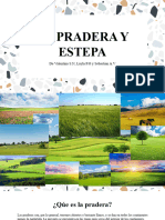 La Pradera y Estepa