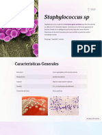 Staphylococcus SP