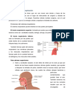 Resumen de La Fisiologia de La Respiracion