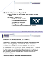 Tratamiento de GN Tema 1