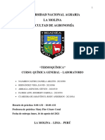 Informe 4 - Termoquimica