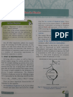 Icse Board Class Ix Respiration in Plants Chapter From Concise Biology