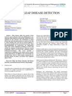 Plant Leaf Disease Detection