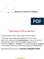 Cerebral Edema, Hydrocephalus & NDD