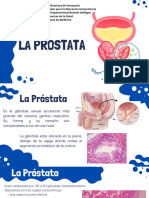 ProstataLuisHernandez 20240609 073027 0000