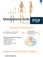 Metabolismo Fosfo-Calcico