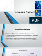 Nervous System