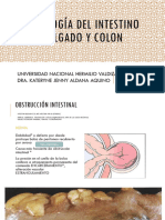 Patología Del Intestino Delgado y Colon