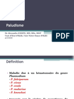 Paludisme - PT (E)