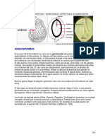 Tema 24 de Hipertextos