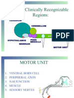 01 - MotorUnit08a