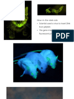 Recombinant DNA