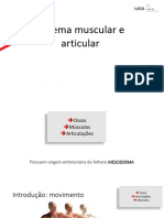 Sistema Muscular e Articular