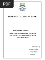 Shri Ram Global School: Chemistry Project