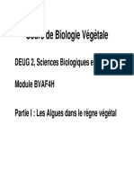 Algo Cours Algues DEUG B SBN