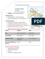 Foot Anatomy
