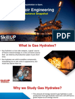 Gas Hydrates