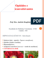 Aula 6 - OpiÃ Ides e Anticonvulsivantes