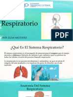 Sistema Respiratorio (Morfo22)