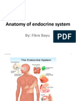 Anatomy of Endocrine System-Fikre