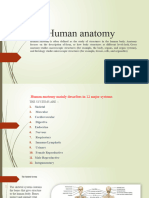 HUMAN Anatomy