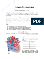 Resumen CorazÃ N