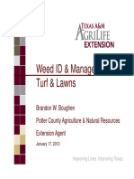 Weed Id Management in Home Lawns