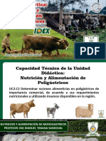 01 Nutricion Poligastricos