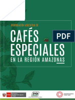 Propagación Vegetativas de Cafés Especiales en Región Amazonas