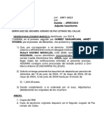 Adjunto Voucher de Pago de Pensiones Devengadas de Alimentos