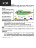 Resumo de Fotossíntese e Quimiossíntese