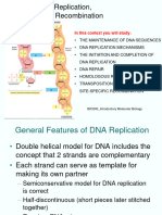 File 3 - DNA Replication Enzymes