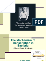 File 5 - Transcription in Prokaryotes