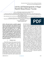 Evaluation of Infectivity and Immunogenicity of Sugar Stabilized Nairobi Sheep Disease Vaccine