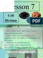 NLC Lesson 7 and 8