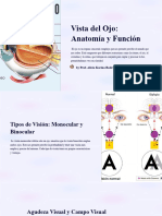 Vista Del Ojo: Anatomía y Función: by Prof. Alicia Karina Rodriguez