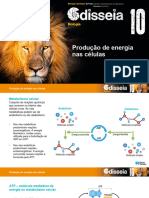 Odis10 PPT Producao Energia Celulas