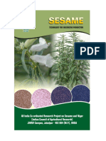 Sesame