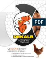 Dekalb Brown CS Product Leaflet Cage L1211-1-ES