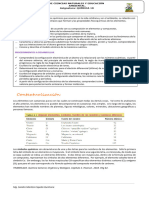 Contextualización: Competencias Previas