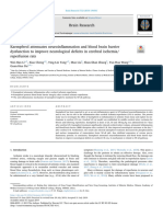 6-JA-Kaempferol Attenuates Neuroinflammation and Blood Brain Barrier