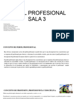 Sala 3 - Perfil Profesional