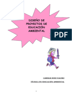 Diseno Proyectos