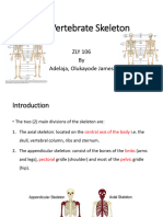 ZLY 106 The Vertebrate Skeleton