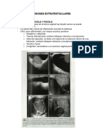 Patologia Testicular 3