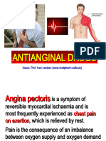 Antianginal Drugs in Eng