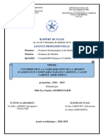 Contribution A L'amelioration de La Mission D'assistance Comptable Par Les Cabinets: Cas Du Cabinet Africompta