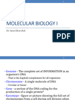 Chromatin