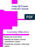 Anatomy of Female Reproductive Organ