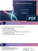 Nucleic Acid Structure